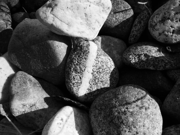 the feeling i tried to shake by clara