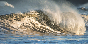 The Golden Light   r21 1