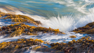 Burst  of joy - Seascape and waves from Lunenburg Nova-Scotia