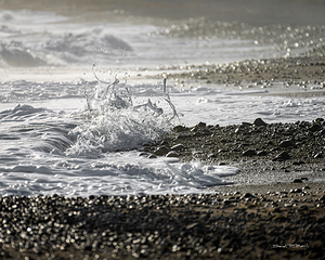 CREMA - SEASHORE Nova Scotia - r45