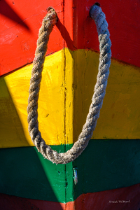 COLOURFUL DORY - LUNENBURG