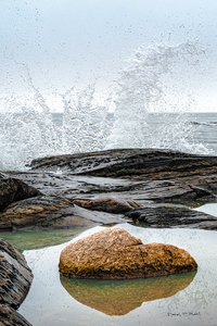 FREEZE - THE WAVE:  Wave from Blue Rocks Nova Scotia