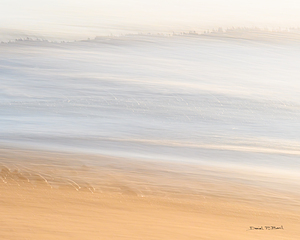 WINDSWEPT - r45