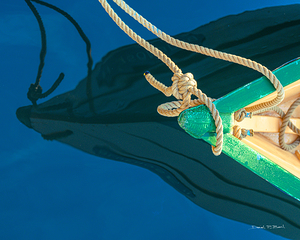 DORY IN REFLECTION r45