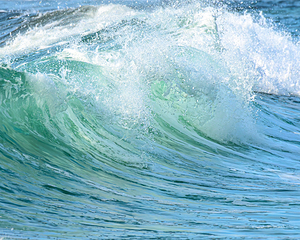 FRESH MINT-  WAVE -r45