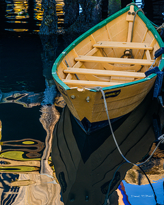 DORY IN DREAMLAND r45
