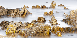 Midas Touch - Seascape and relaxing waves from Lunenburg Nova-Scotia
