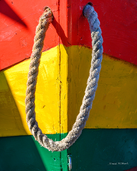 Colourful Dory - r45 Print