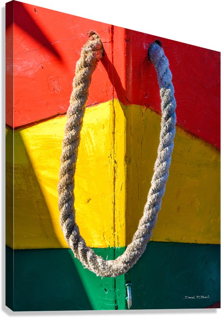 Colourful Dory - r45 Canvas Print