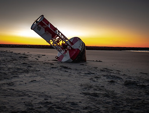 Washed Ashore