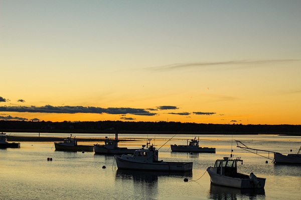 Harbor at Rest