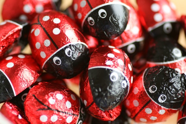 Beetle Chocolate by Joy Watson