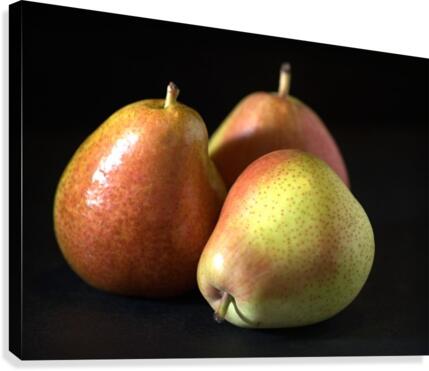 Three Pears Canvas Print