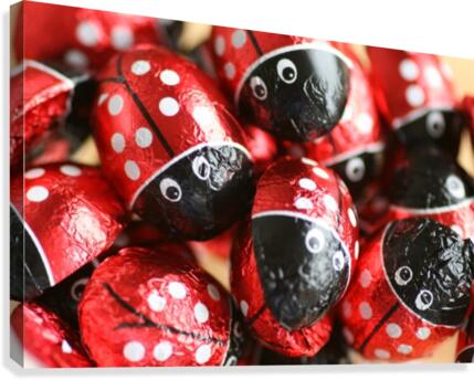 Beetle Chocolate Canvas Print