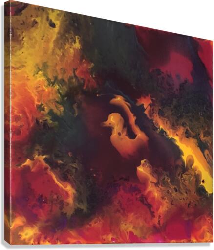 SECRETIVE Canvas Print