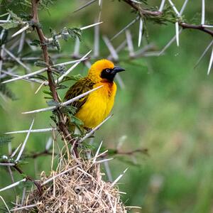 IMG 20240316 WA00021