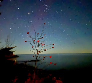 Hidden in the Night