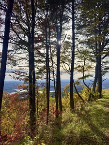 Fall is near 