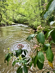 Wolf Creek Garden