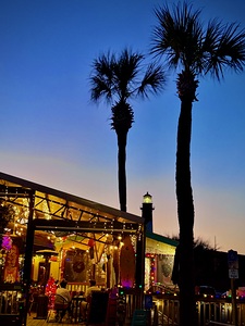 Dinner time at the beach 