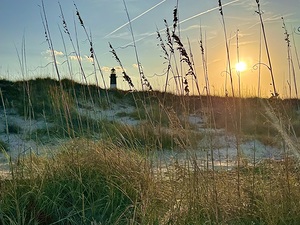 Tybee Island dunes 