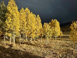 Light of the storm