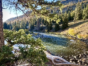 Bend at Little Squaw