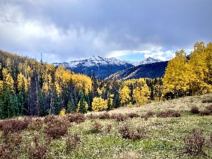 Snowcap over the aspens