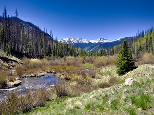 Top of Lost Trail