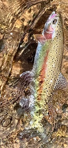 Rainbow in the water 