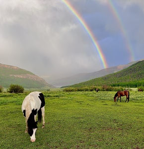 Rainbow Paint