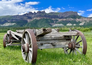 Wagons ho 