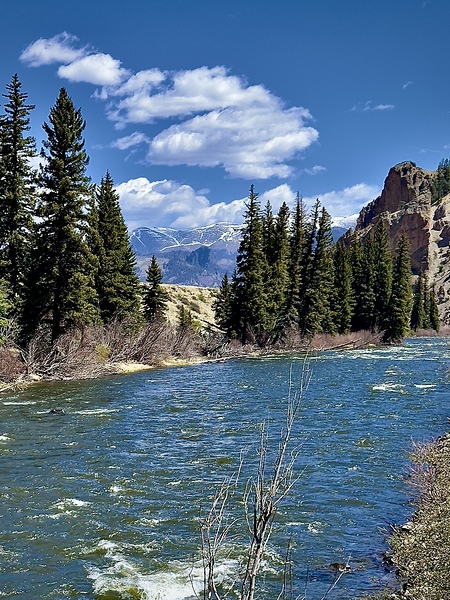 River View Print