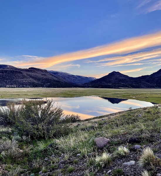 Pastel Reflection Print