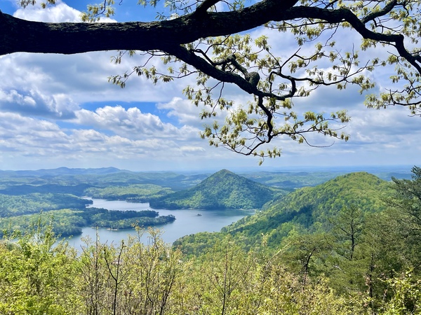 Long way to the Lake by Dick Davis
