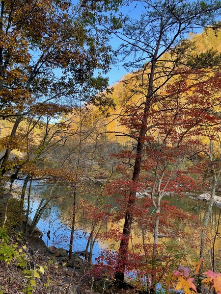 Fall on the Ocoee Print