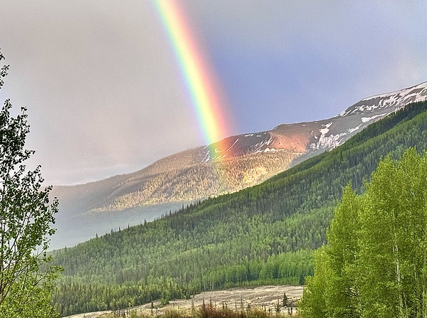 The End of the rainbow by Dick Davis