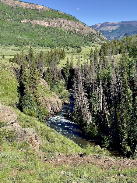 Rio headwaters canyon by Dick Davis