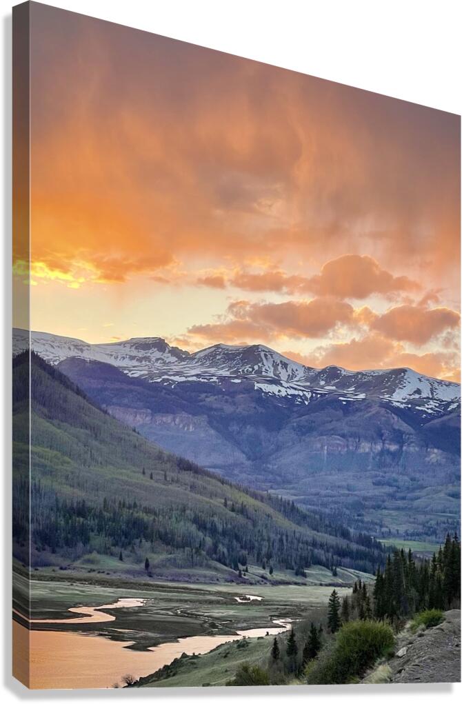 Homecoming Canvas Print