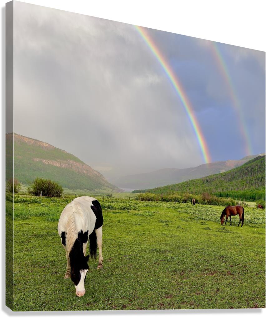 Rainbow Paint Canvas Print
