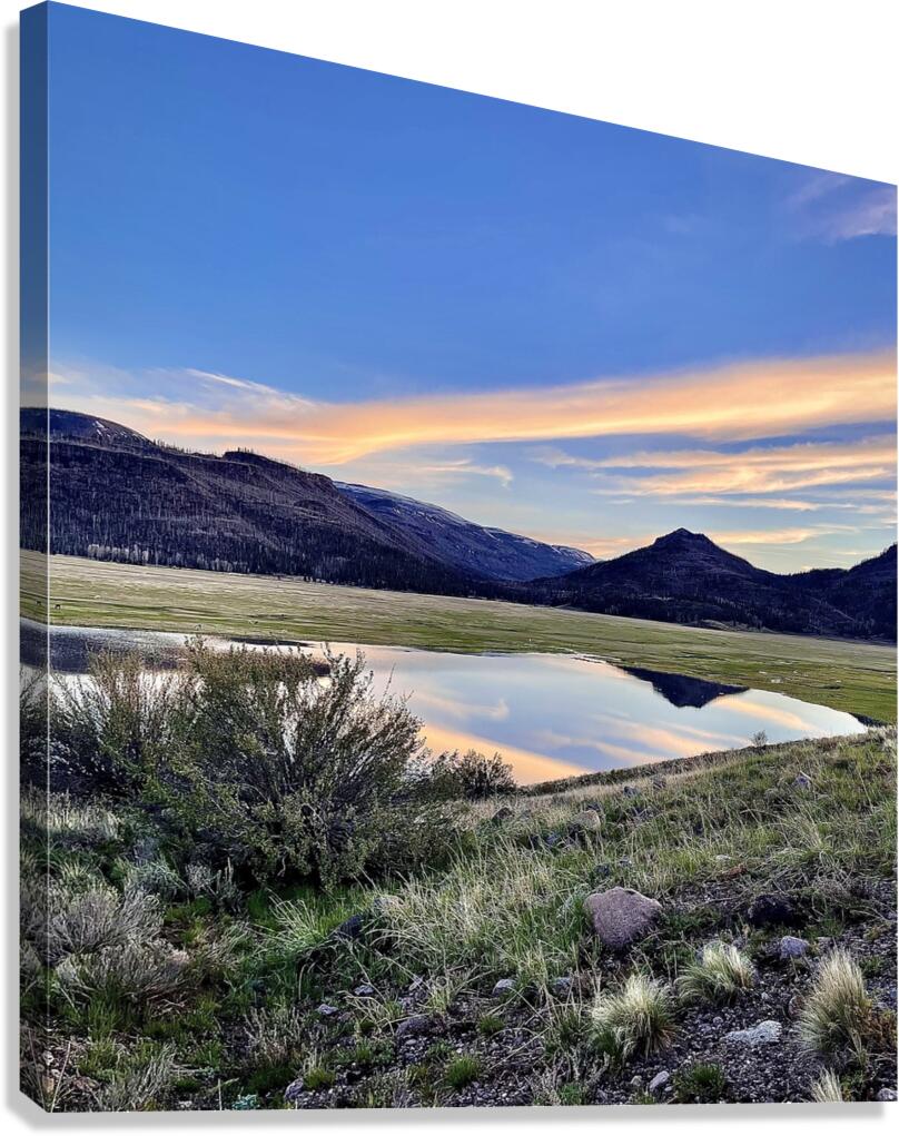 Pastel Reflection Canvas Print