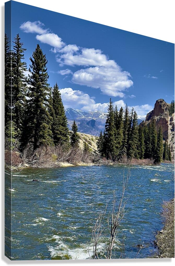 River View Canvas Print