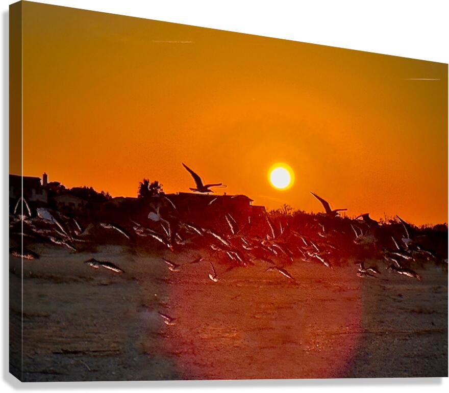 Almost gone  Canvas Print