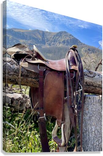 Saddle Mountain Canvas Print