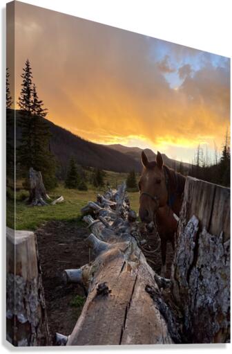 Watching Sunset Canvas Print