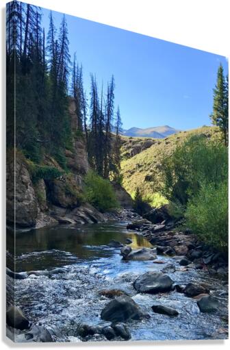 Stream Reflections Canvas Print