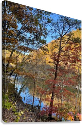 Fall on the Ocoee Canvas Print
