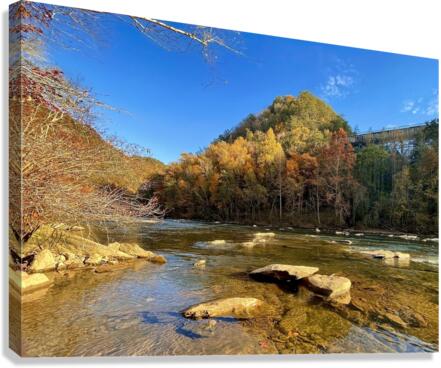 Ocoee River Foliage Canvas Print