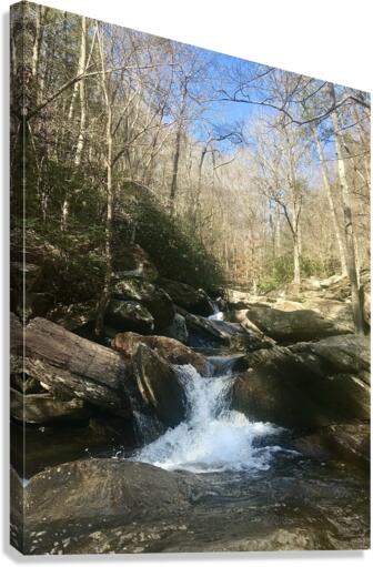 Go Forth Creek Canvas Print