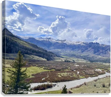 Cold Spring day  Canvas Print